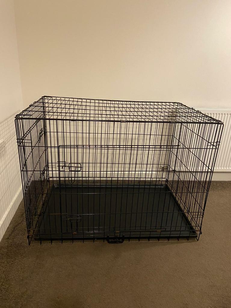 dog pushchairs argos